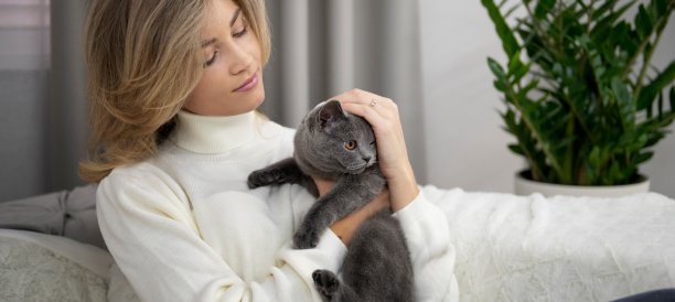 Top Cat Grooming Services and Cat Groomers in Miami