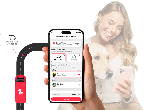 Investor Banner